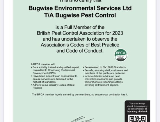 Bugwise Pest Control