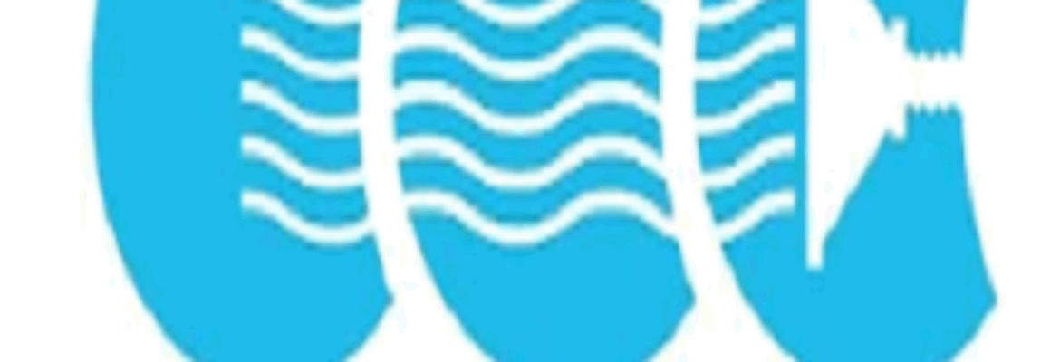 City Carpet Cleaning